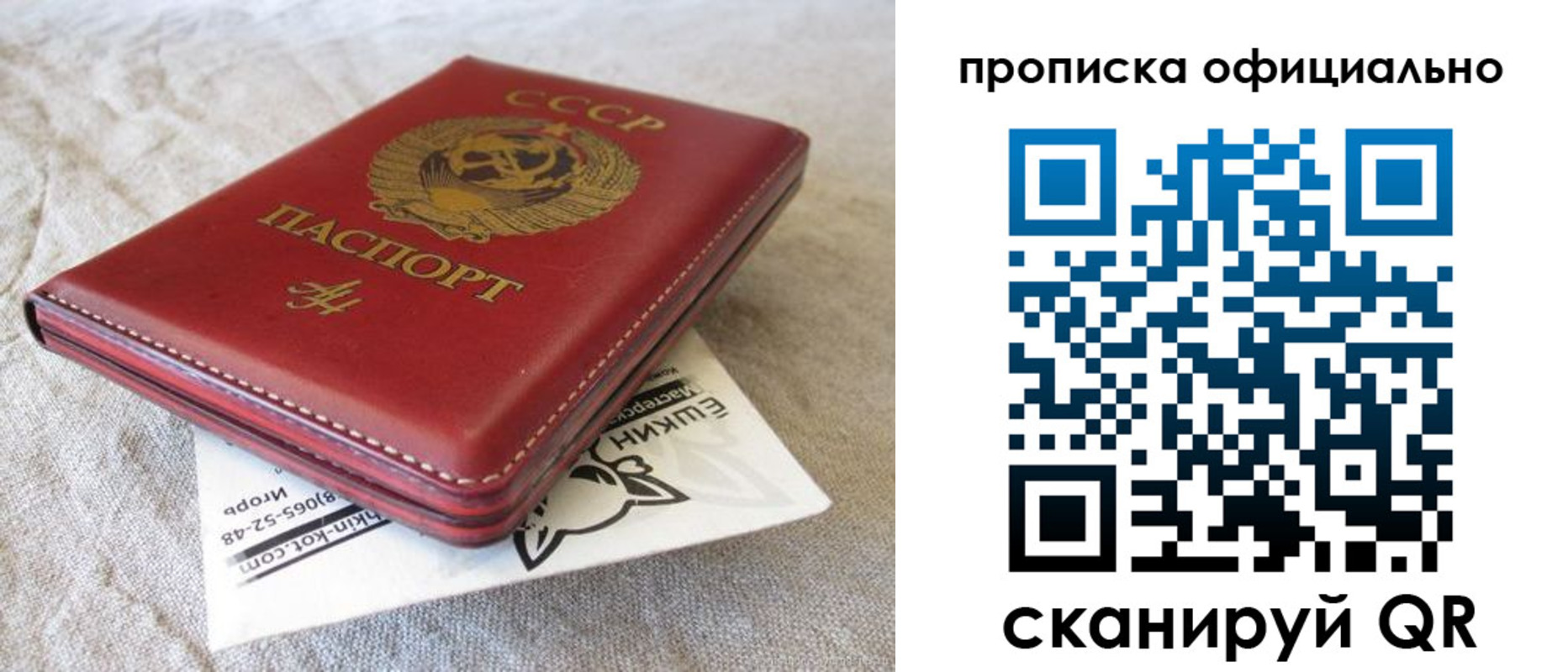 прописка иностранных граждан в Александрове