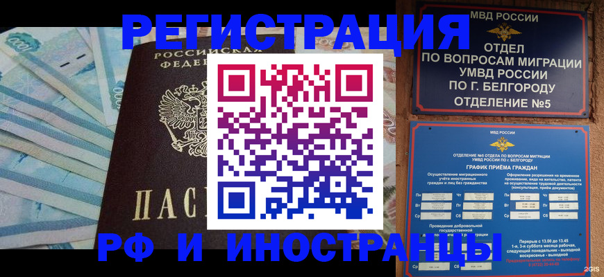 временная регистрация недорого в Александрове